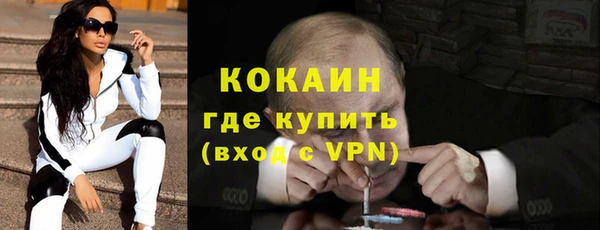 ешки Арсеньев