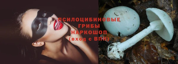 круглые Аркадак