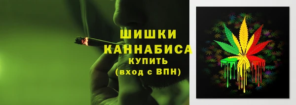 ешки Арсеньев
